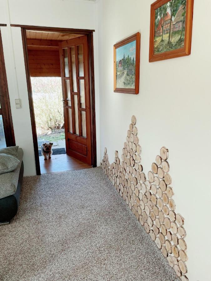 Landhaus Mit Pool, Bungalow In Der Natur Hohenbollentin ภายนอก รูปภาพ