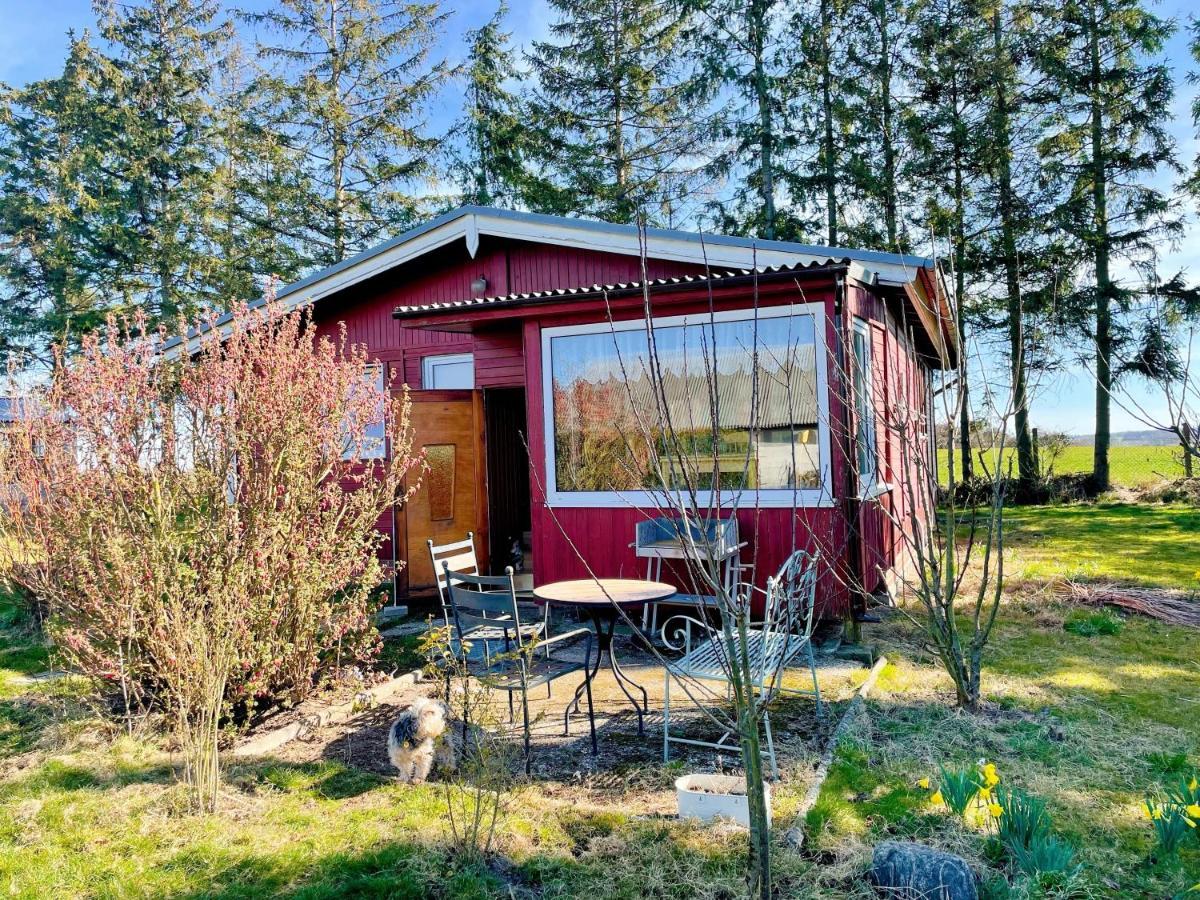 Landhaus Mit Pool, Bungalow In Der Natur Hohenbollentin ภายนอก รูปภาพ