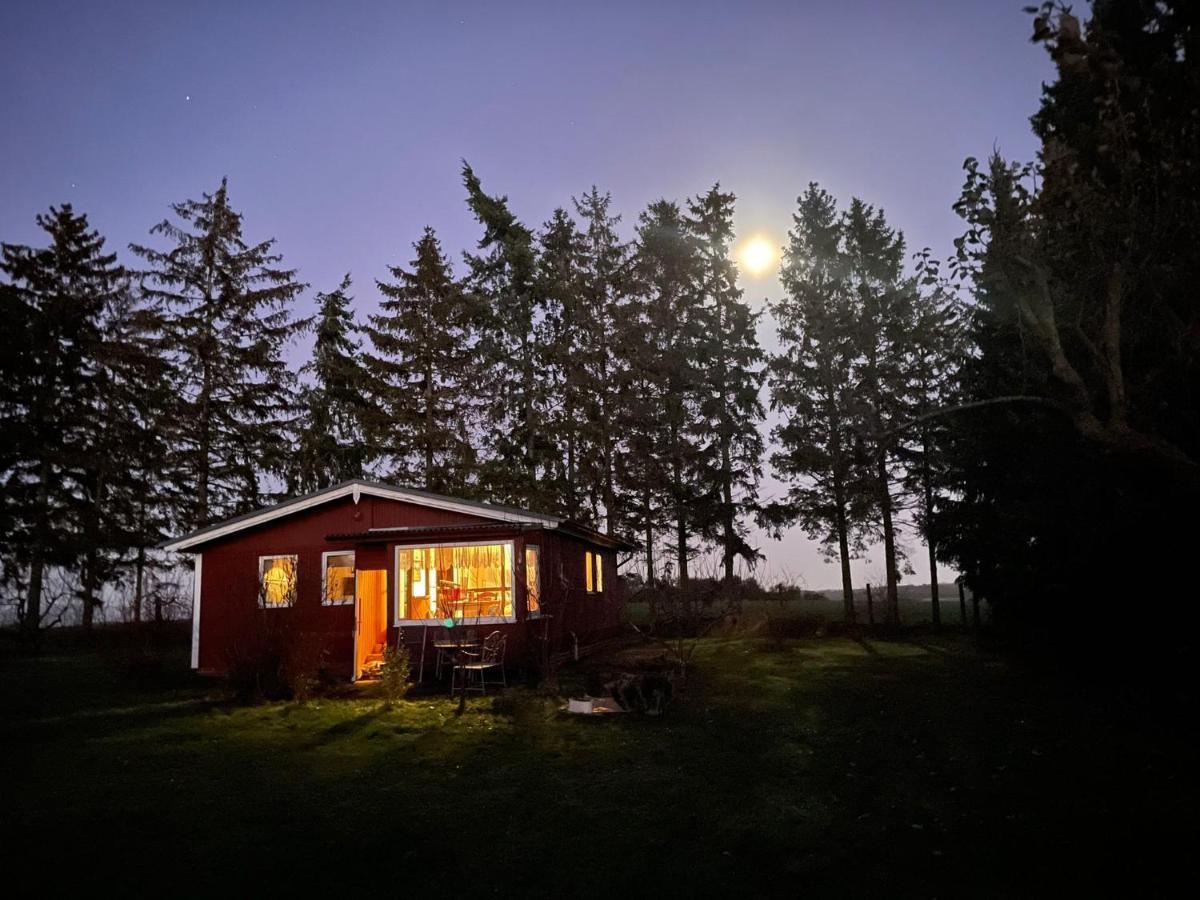 Landhaus Mit Pool, Bungalow In Der Natur Hohenbollentin ภายนอก รูปภาพ